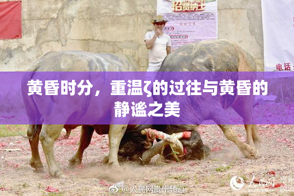 黄昏时分，重温ζ的过往与黄昏的静谧之美