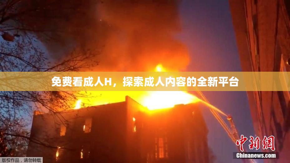 免费看成人H，探索成人内容的全新平台