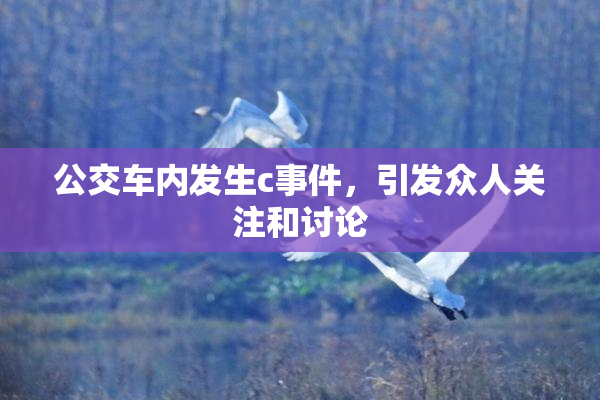 公交车内发生c事件，引发众人关注和讨论