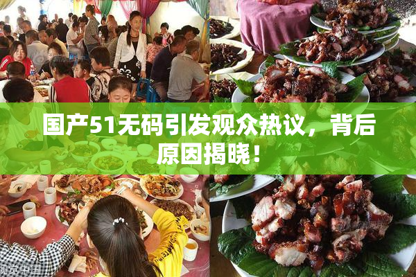 国产51无码引发观众热议，背后原因揭晓！