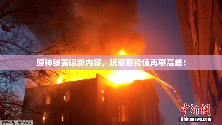 原神秘黄曝新内容，玩家期待值再攀高峰！