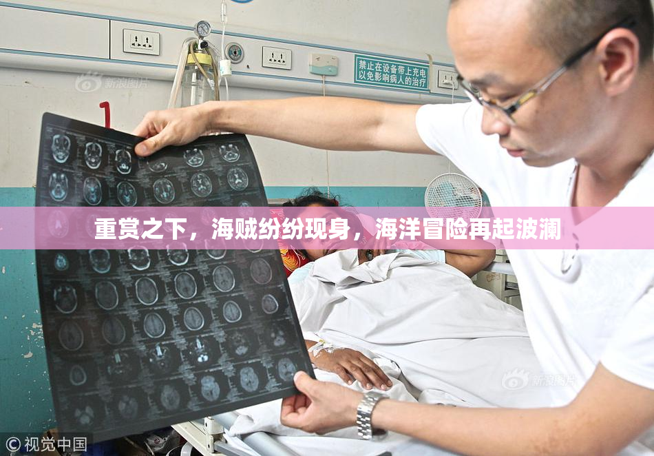 重赏之下，海贼纷纷现身，海洋冒险再起波澜