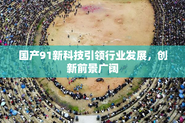 国产91新科技引领行业发展，创新前景广阔