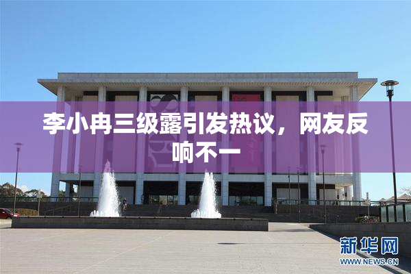 李小冉三级露引发热议，网友反响不一