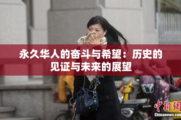 永久华人的奋斗与希望：历史的见证与未来的展望