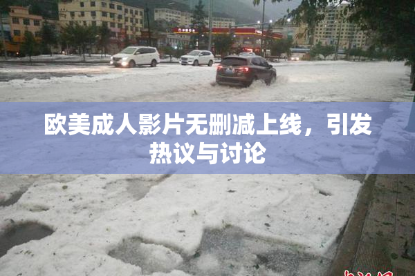 欧美成人影片无删减上线，引发热议与讨论