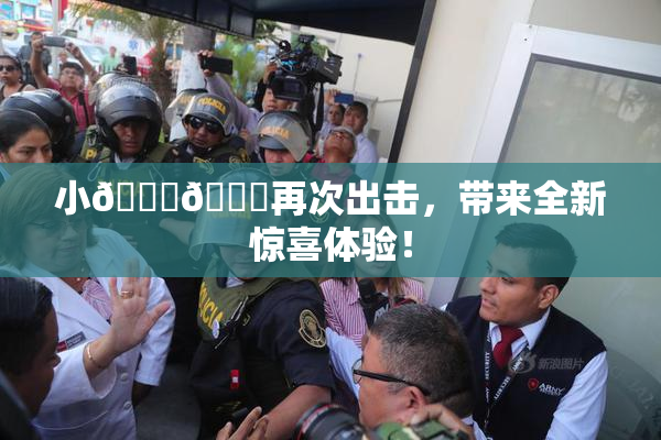 小🐔🐔再次出击，带来全新惊喜体验！