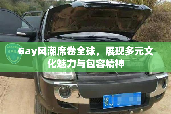 Gay风潮席卷全球，展现多元文化魅力与包容精神