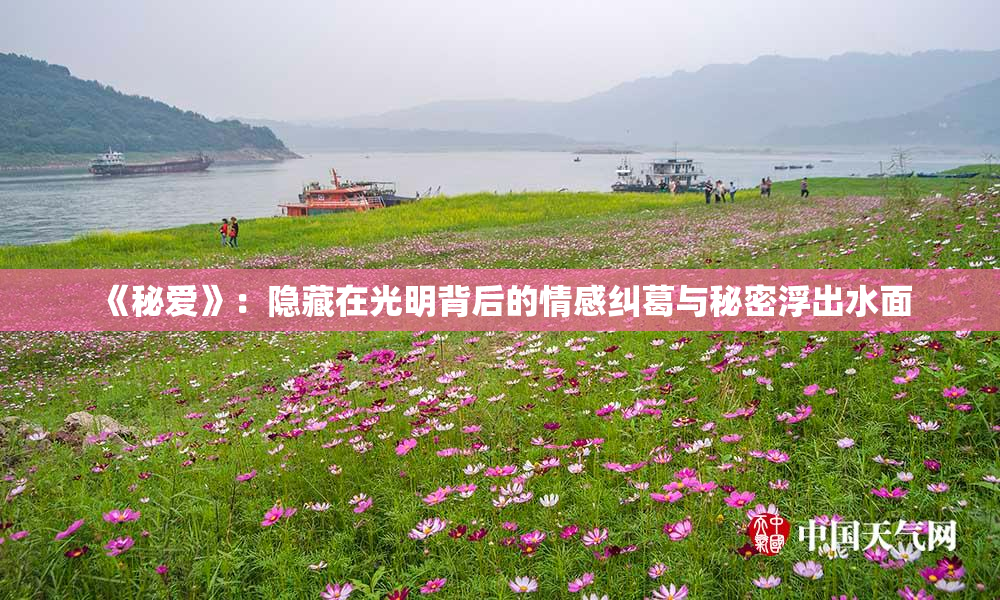 《秘爱》：隐藏在光明背后的情感纠葛与秘密浮出水面