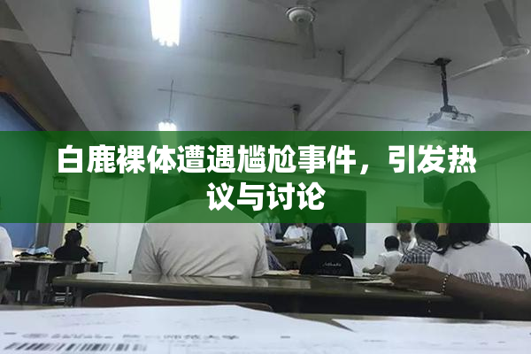 白鹿裸体遭遇尴尬事件，引发热议与讨论