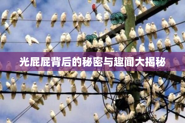 光屁屁背后的秘密与趣闻大揭秘