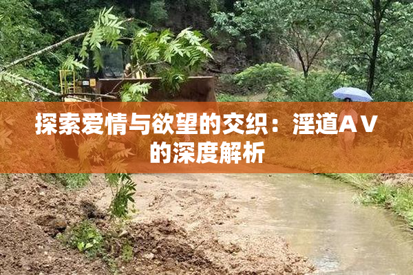 探索爱情与欲望的交织：淫道AⅤ的深度解析