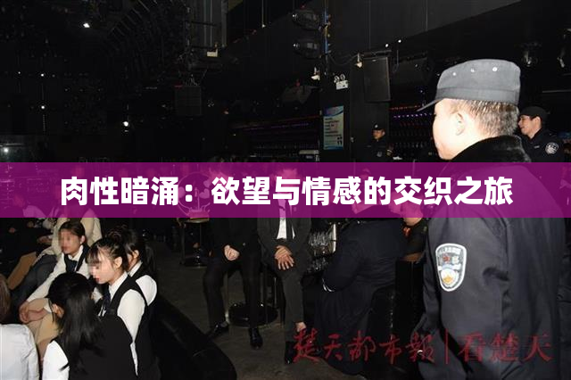 肉性暗涌：欲望与情感的交织之旅