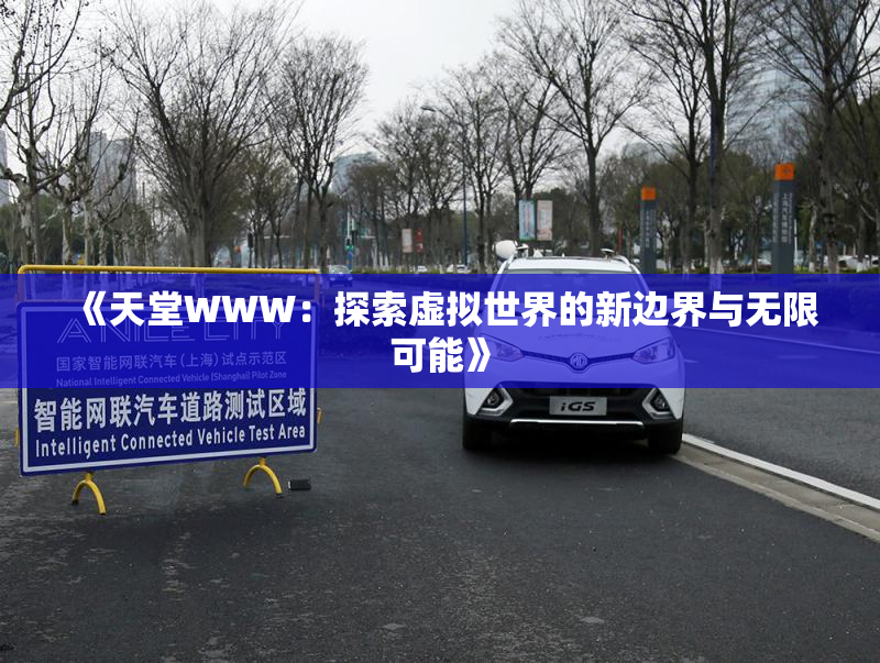 《天堂WWW：探索虚拟世界的新边界与无限可能》