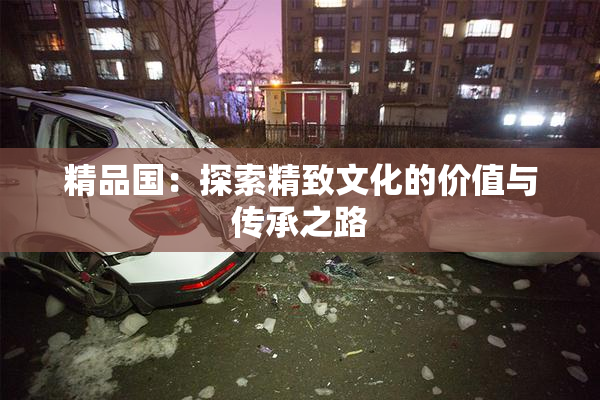 精品国：探索精致文化的价值与传承之路