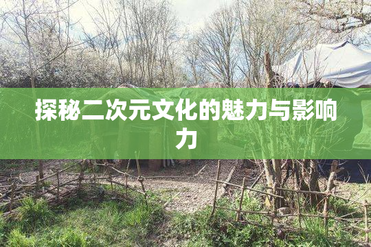 探秘二次元文化的魅力与影响力