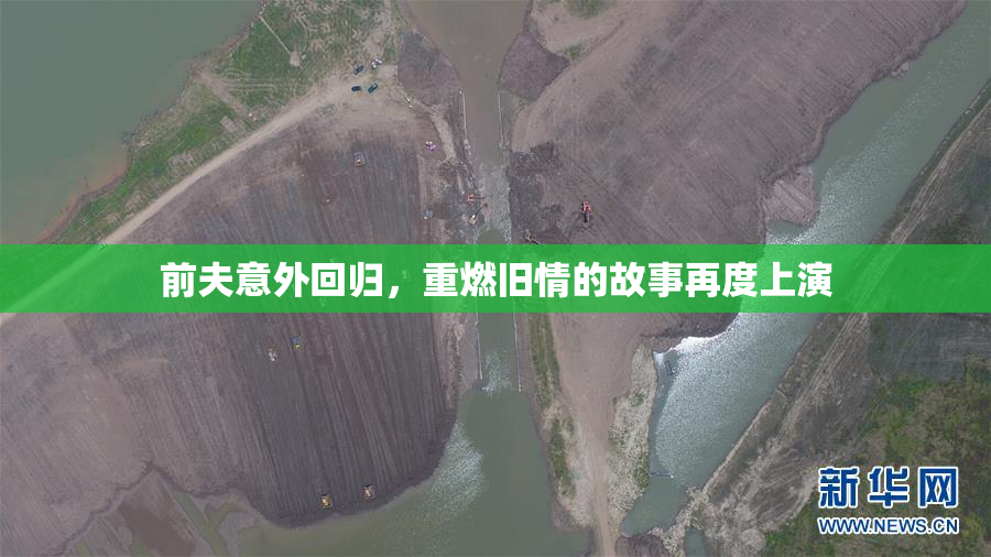 前夫意外回归，重燃旧情的故事再度上演