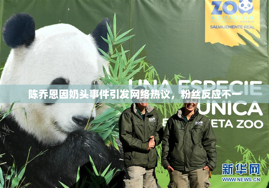 陈乔恩因奶头事件引发网络热议，粉丝反应不一