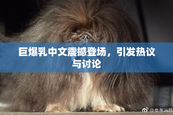 巨爆乳中文震撼登场，引发热议与讨论