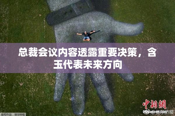总裁会议内容透露重要决策，含玉代表未来方向