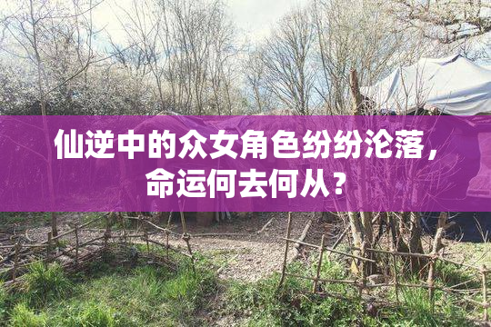 仙逆中的众女角色纷纷沦落，命运何去何从？
