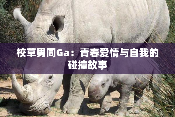 校草男同Ga：青春爱情与自我的碰撞故事