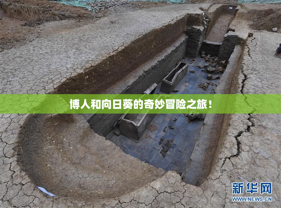 博人和向日葵的奇妙冒险之旅！