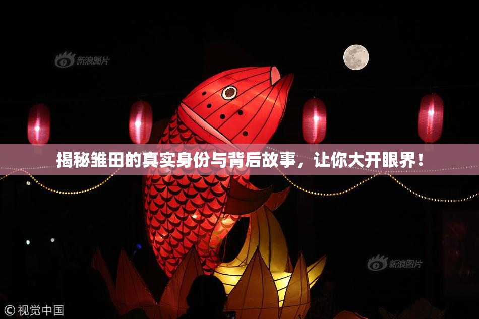 揭秘雏田的真实身份与背后故事，让你大开眼界！