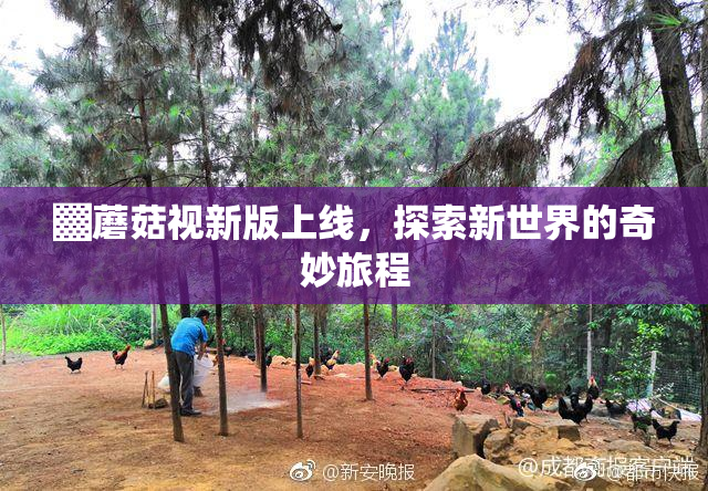 ▓蘑菇视新版上线，探索新世界的奇妙旅程
