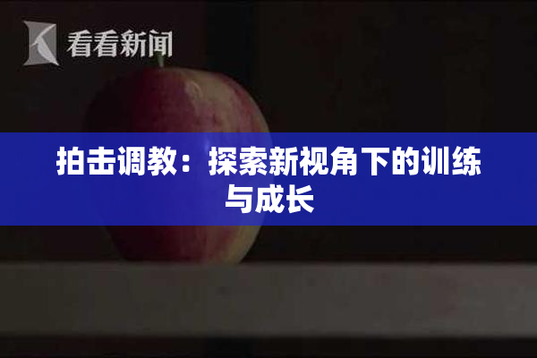 拍击调教：探索新视角下的训练与成长