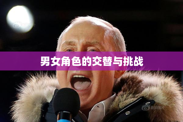 男女角色的交替与挑战