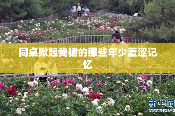 同桌掀起我裙的那些年少羞涩记忆