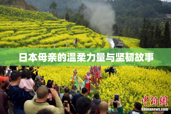 日本母亲的温柔力量与坚韧故事