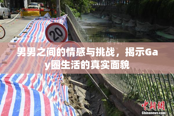 男男之间的情感与挑战，揭示Gay圈生活的真实面貌