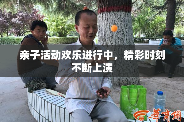 亲子活动欢乐进行中，精彩时刻不断上演