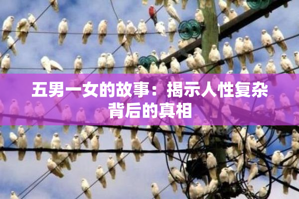 五男一女的故事：揭示人性复杂背后的真相