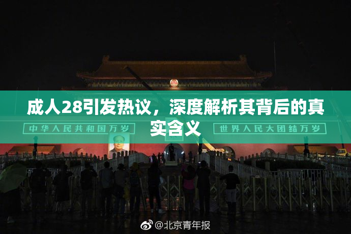 成人28引发热议，深度解析其背后的真实含义