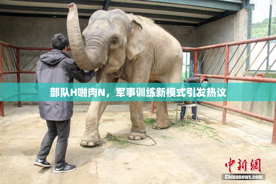 部队H啪肉N，军事训练新模式引发热议