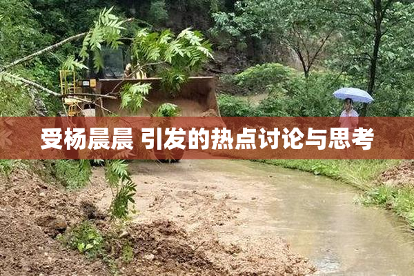 受杨晨晨 引发的热点讨论与思考