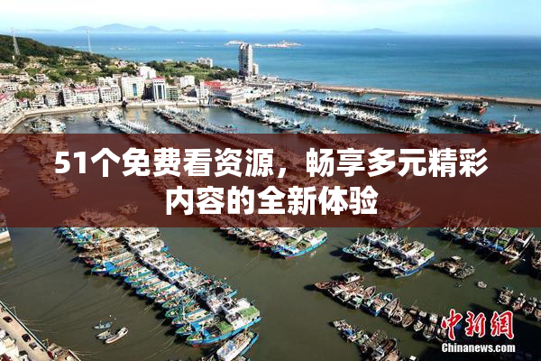 51个免费看资源，畅享多元精彩内容的全新体验