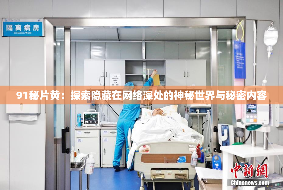 91秘片黄：探索隐藏在网络深处的神秘世界与秘密内容