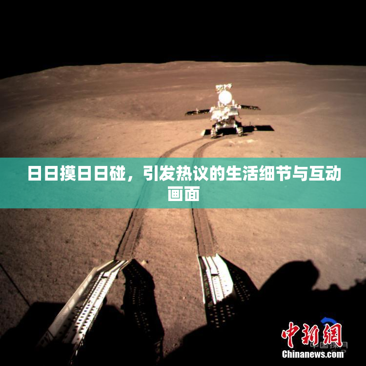 日日摸日日碰，引发热议的生活细节与互动画面