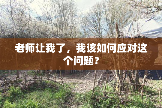 老师让我了，我该如何应对这个问题？