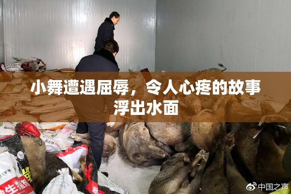 小舞遭遇屈辱，令人心疼的故事浮出水面