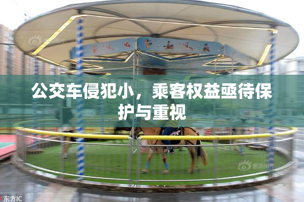 公交车侵犯小，乘客权益亟待保护与重视