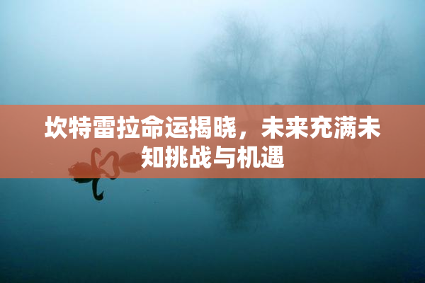 坎特雷拉命运揭晓，未来充满未知挑战与机遇