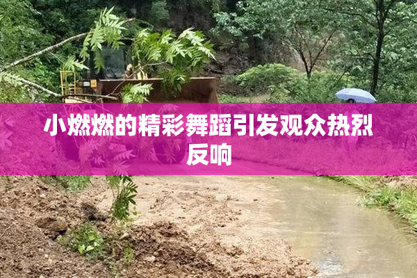 小燃燃的精彩舞蹈引发观众热烈反响