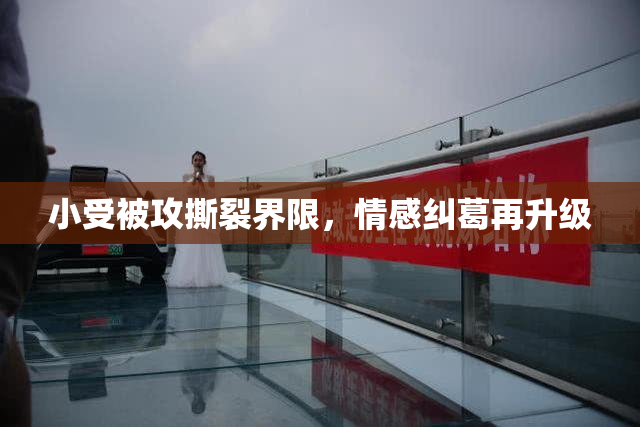小受被攻撕裂界限，情感纠葛再升级