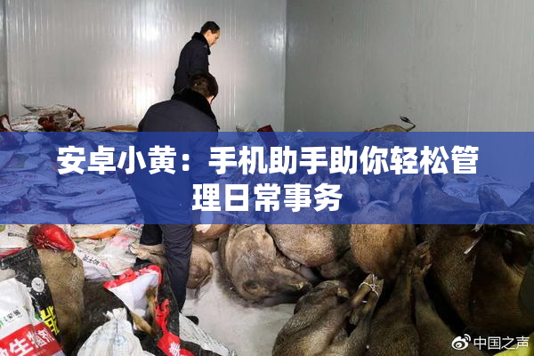 安卓小黄：手机助手助你轻松管理日常事务
