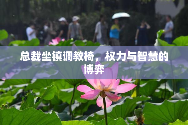 总裁坐镇调教椅，权力与智慧的博弈